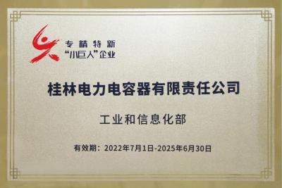  the “National Key little giant enterprise“