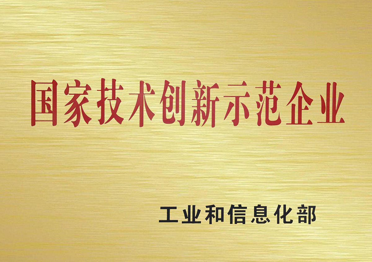 国家技术创新示范企业1.jpg